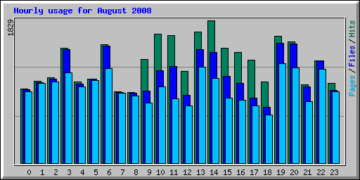 Hourly usage for August 2008